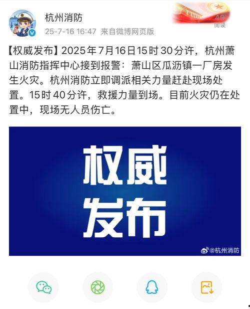 杭州头条最新爆料,揭秘某神秘项目背后的惊人真相！